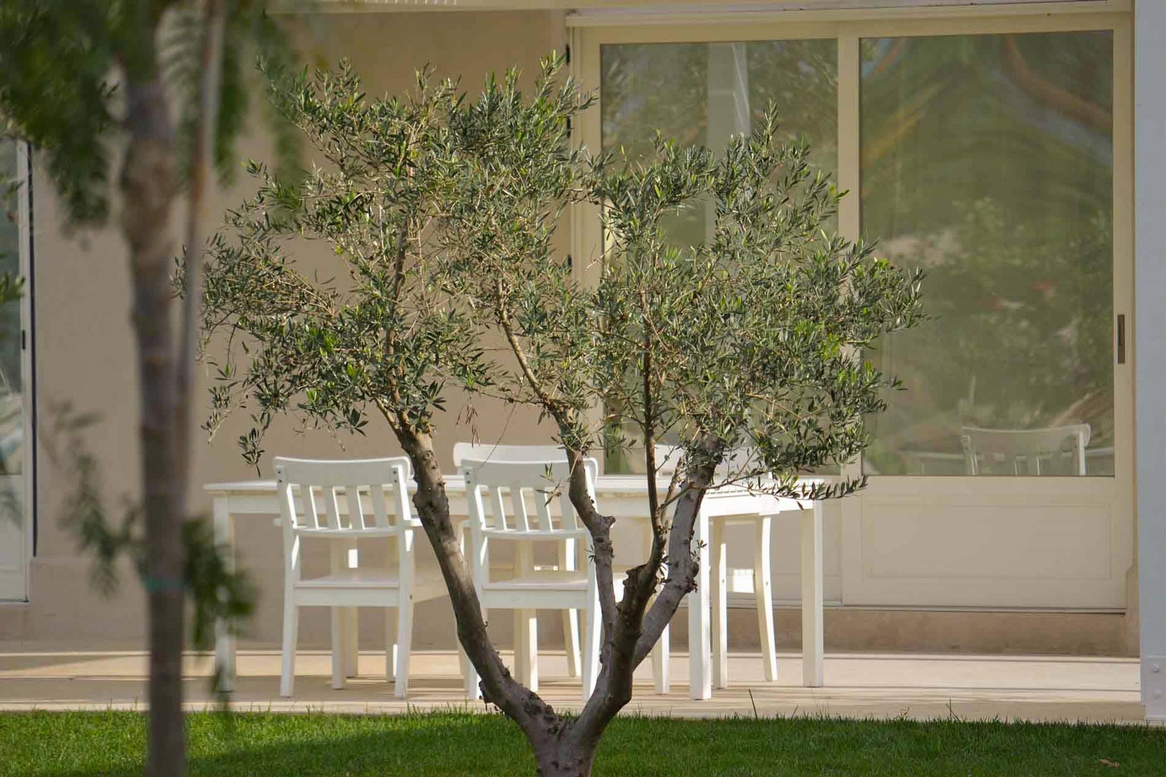 Ta Spitakia Villa Kos Town Exterior photo